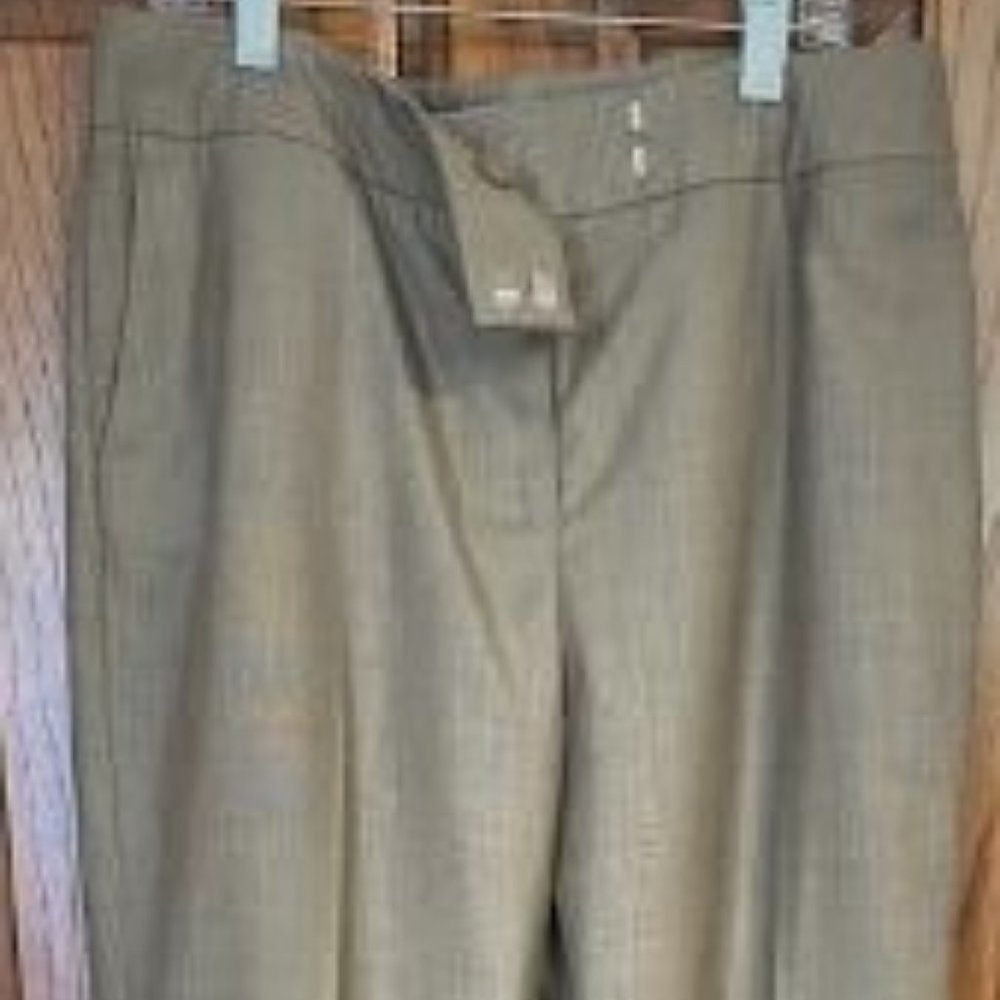 NWOT isabel & nina Light Brown Slacks